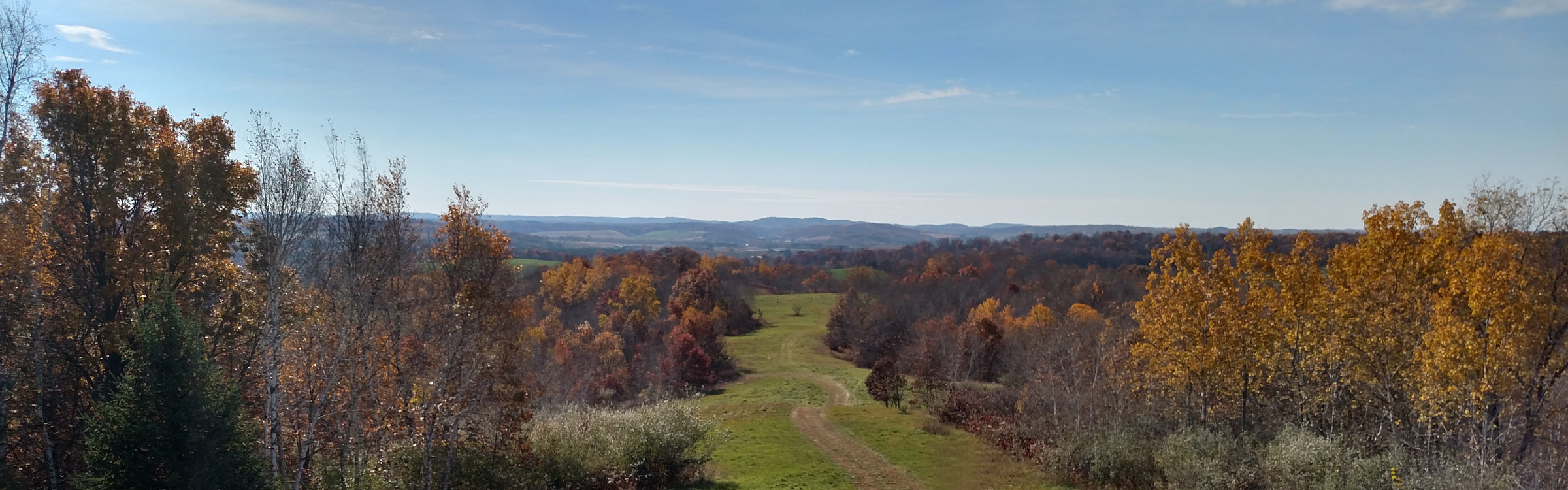 View From Roof